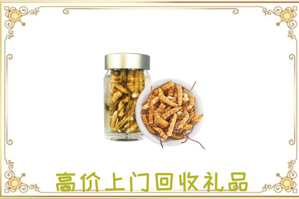 怒江周边回收虫草